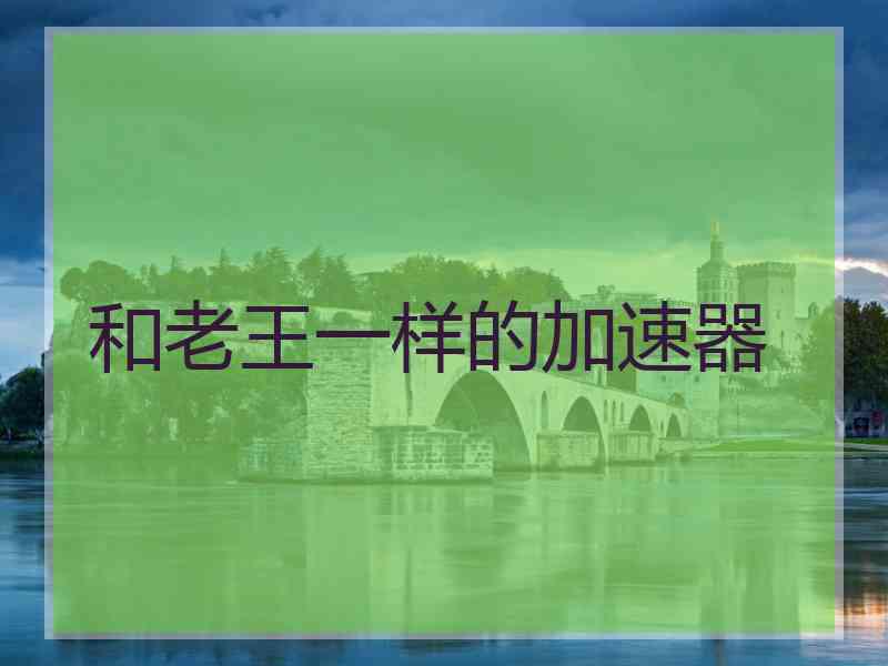和老王一样的加速器