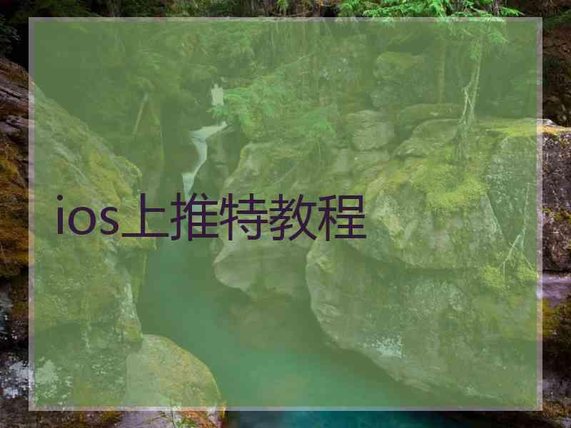 ios上推特教程