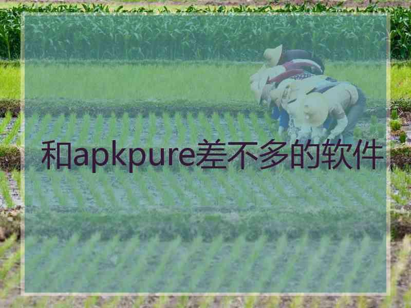 和apkpure差不多的软件