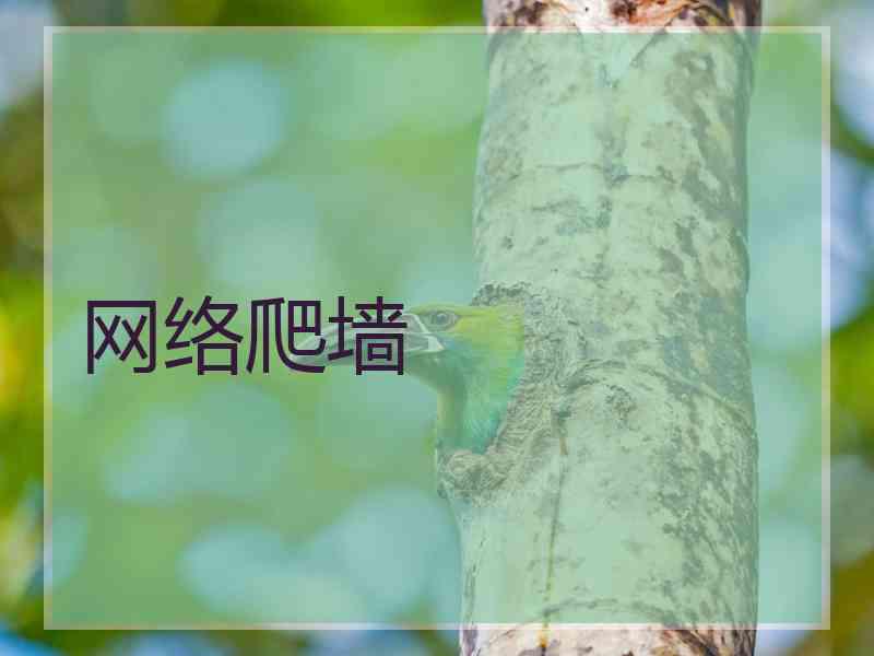 网络爬墙