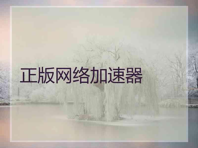 正版网络加速器