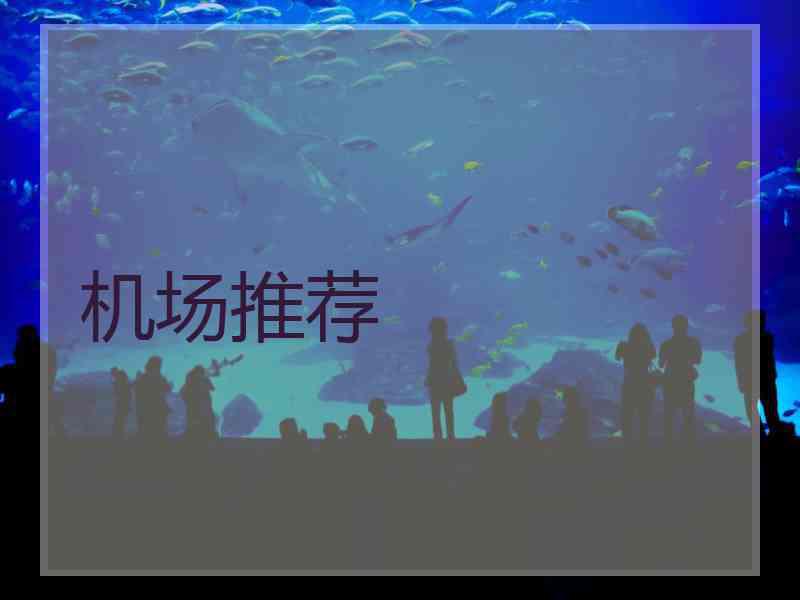 机场推荐