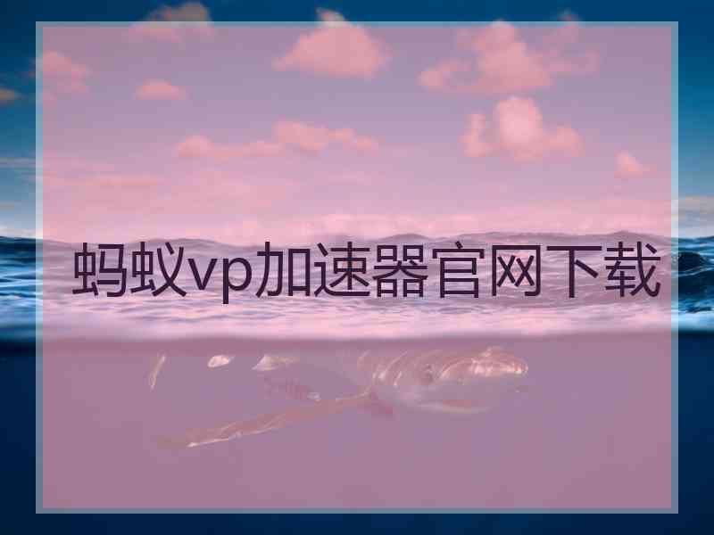 蚂蚁vp加速器官网下载