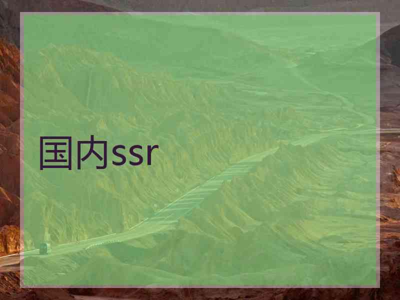 国内ssr
