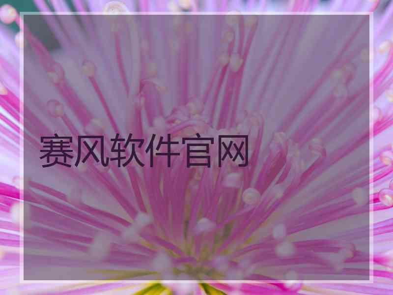 赛风软件官网