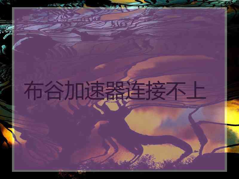 布谷加速器连接不上