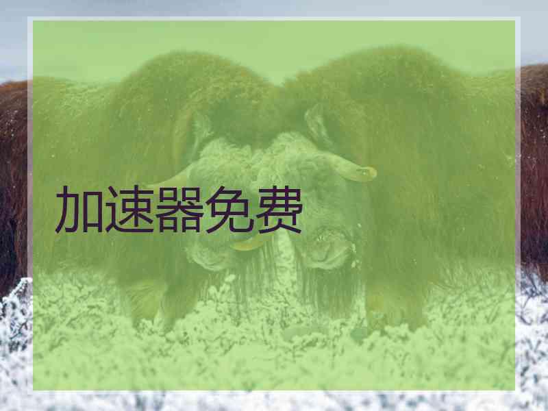加速器免费