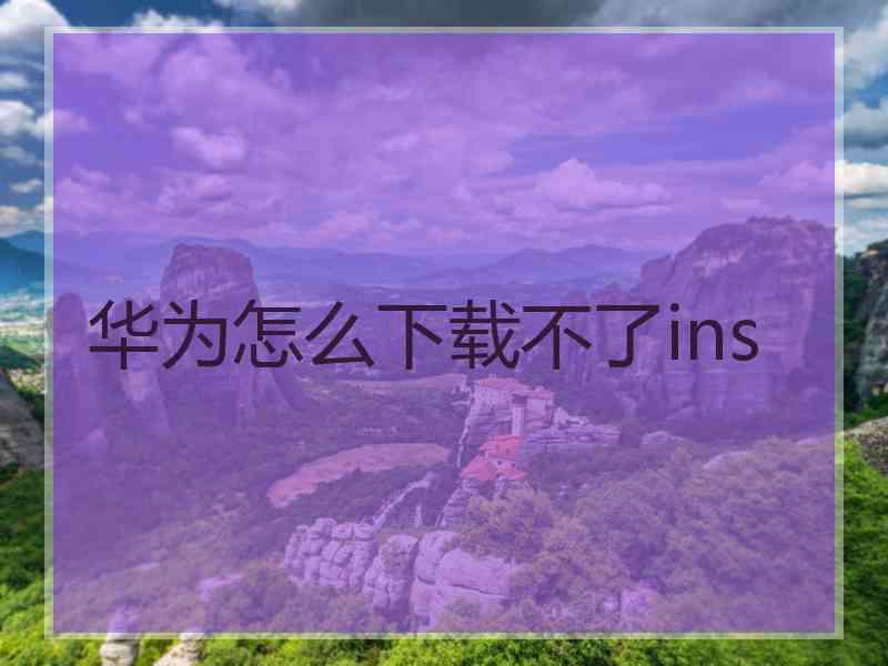 华为怎么下载不了ins