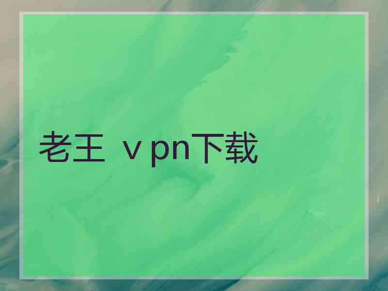 老王 ⅴpn下载