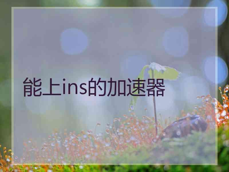 能上ins的加速器