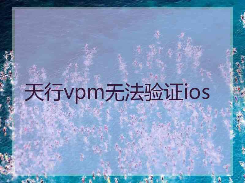 天行vpm无法验证ios