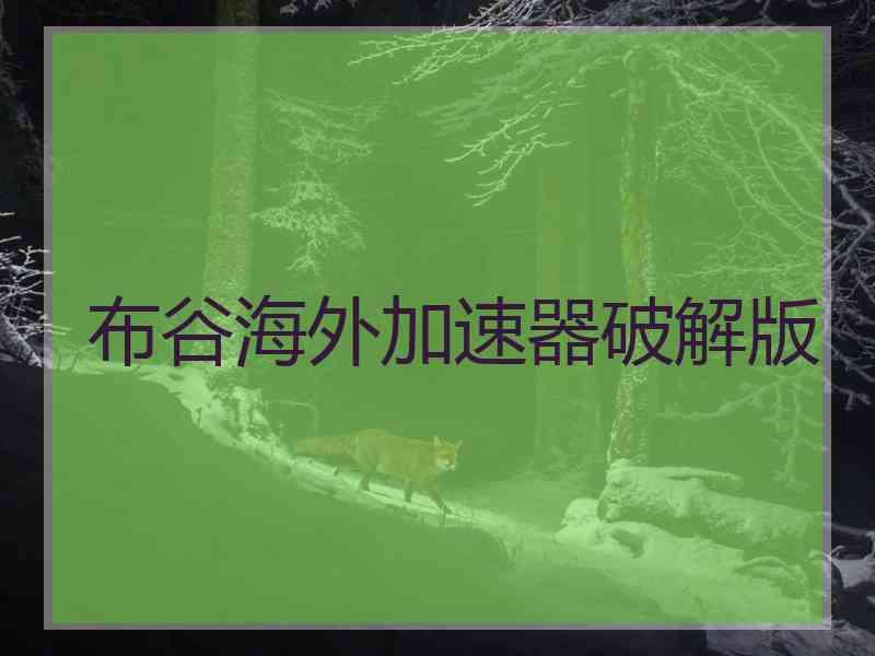 布谷海外加速器破解版