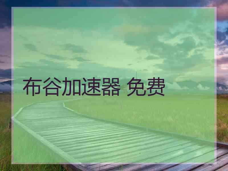 布谷加速器 免费
