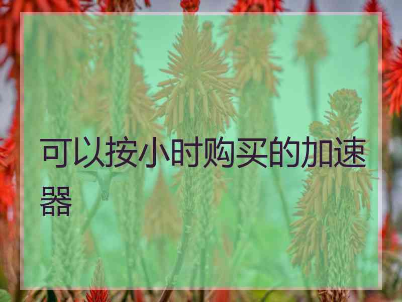 可以按小时购买的加速器