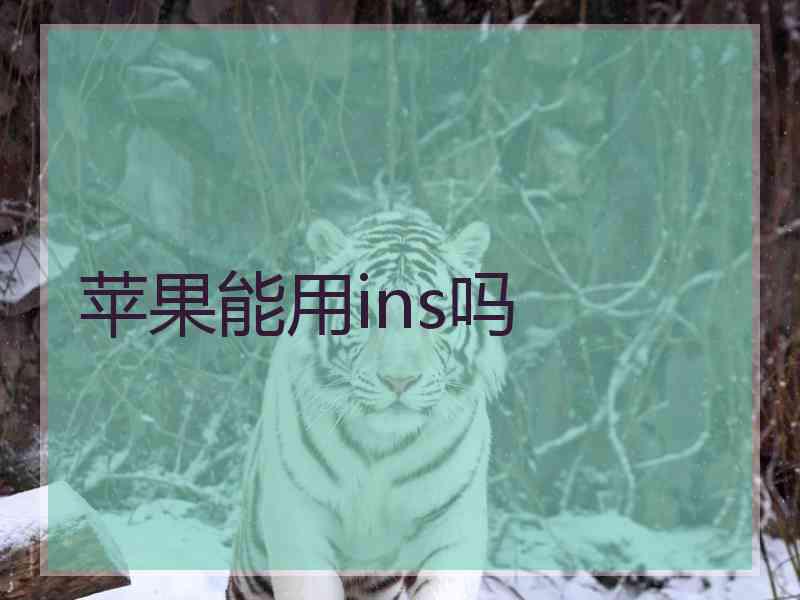 苹果能用ins吗