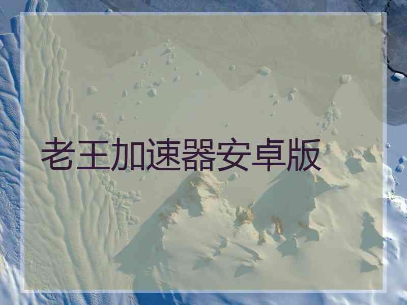 老王加速器安卓版
