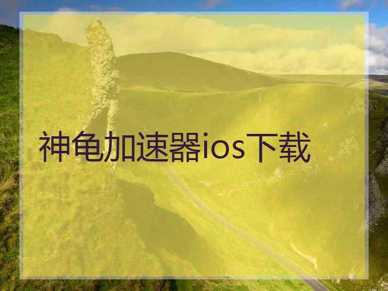 神龟加速器ios下载
