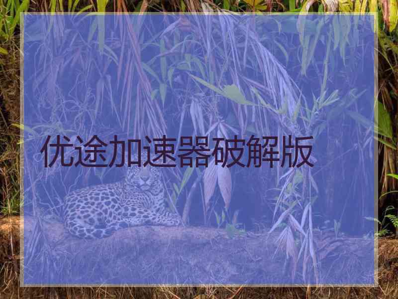 优途加速器破解版
