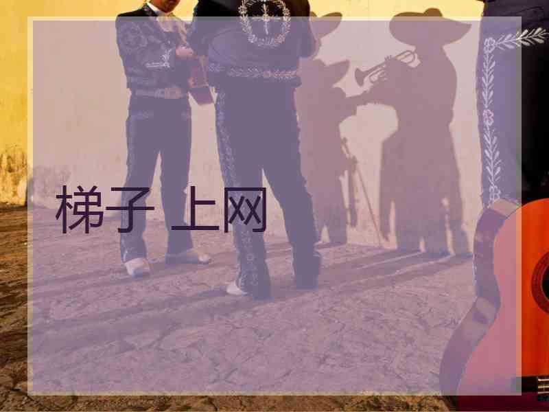 梯子 上网