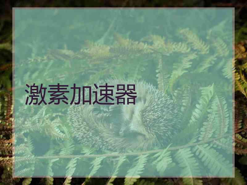 激素加速器