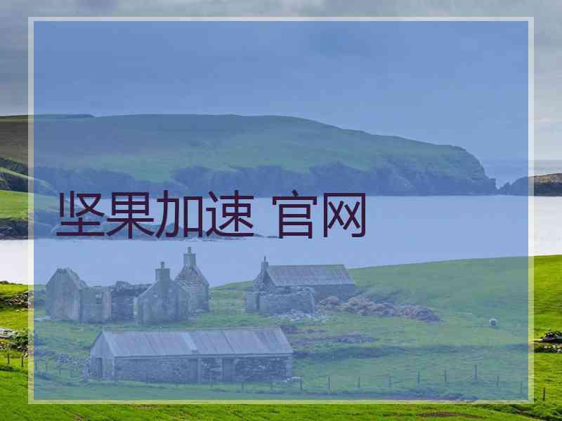 坚果加速 官网