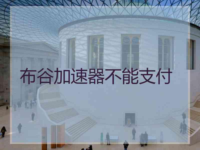 布谷加速器不能支付