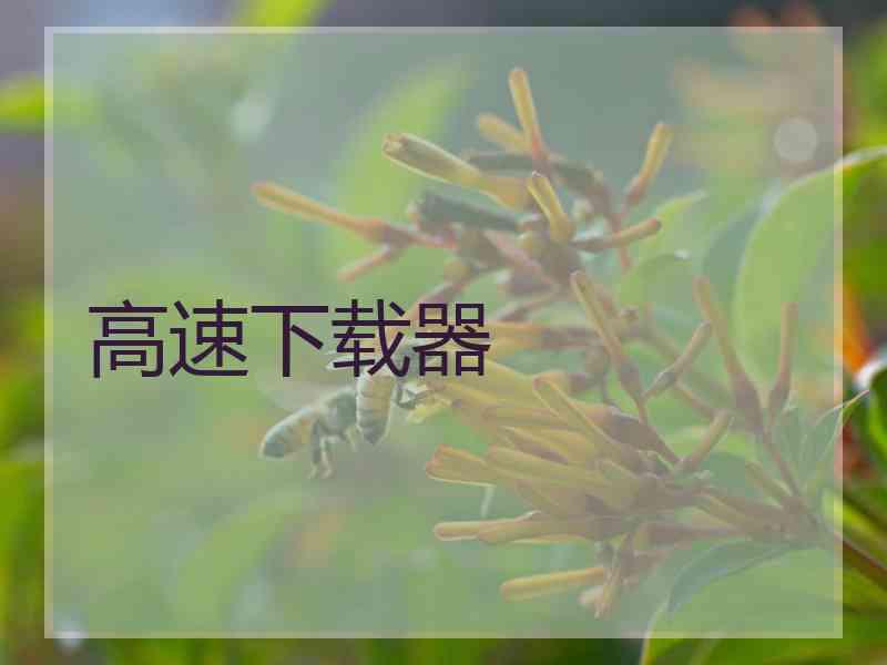 高速下载器