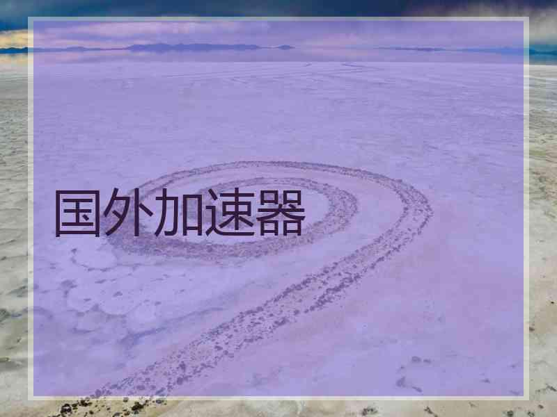 国外加速器