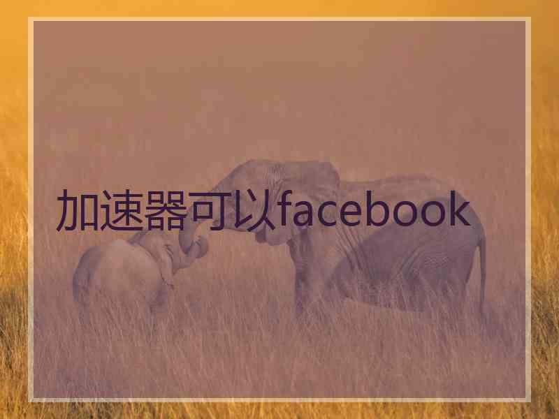 加速器可以facebook