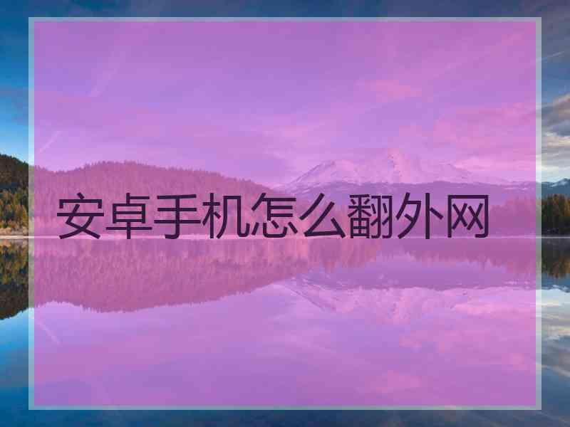 安卓手机怎么翻外网