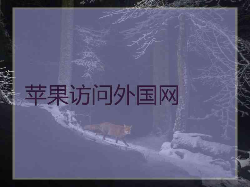 苹果访问外国网
