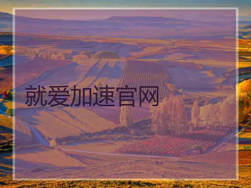 就爱加速官网