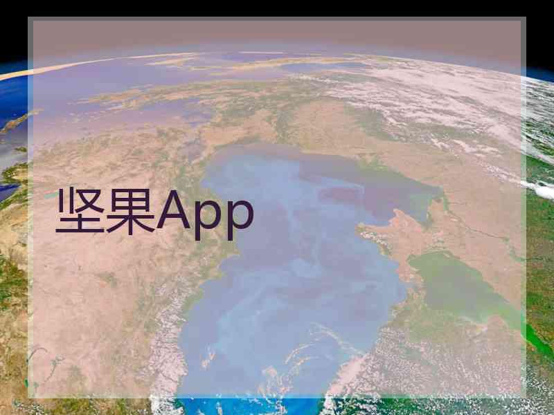 坚果App