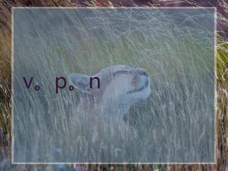 v。p。n