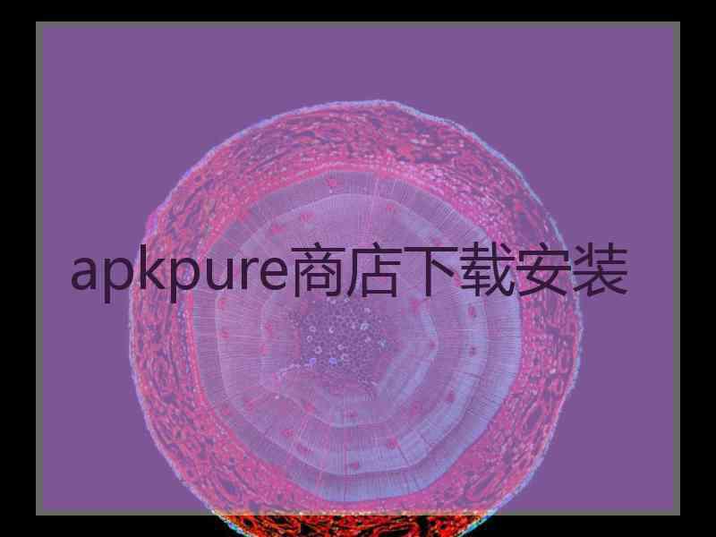 apkpure商店下载安装