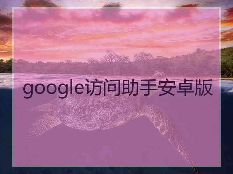 google访问助手安卓版