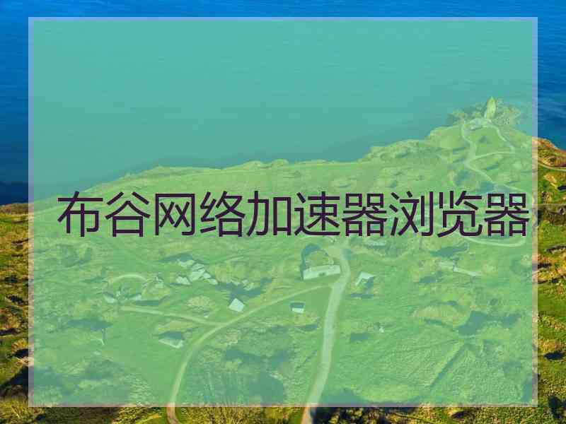 布谷网络加速器浏览器