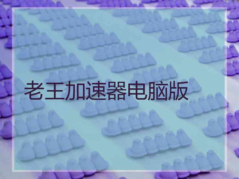 老王加速器电脑版
