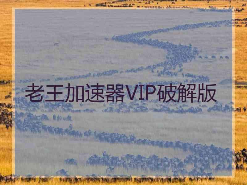 老王加速器VIP破解版