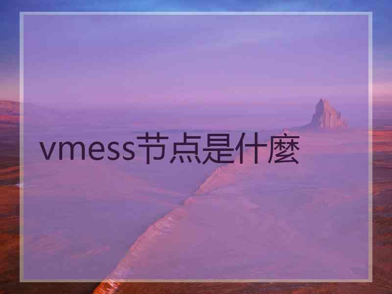 vmess节点是什麼