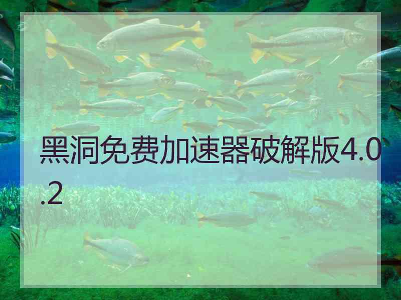 黑洞免费加速器破解版4.0.2