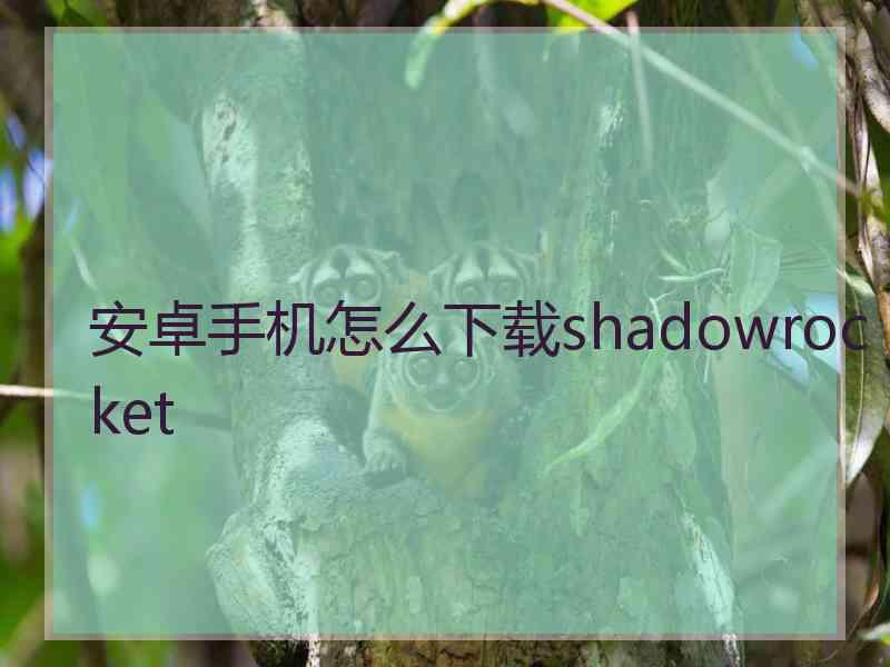 安卓手机怎么下载shadowrocket