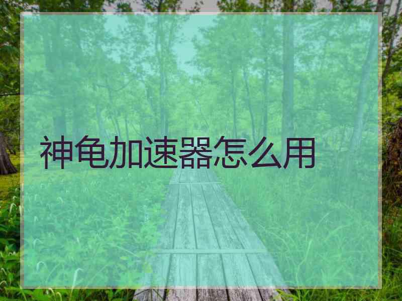 神龟加速器怎么用