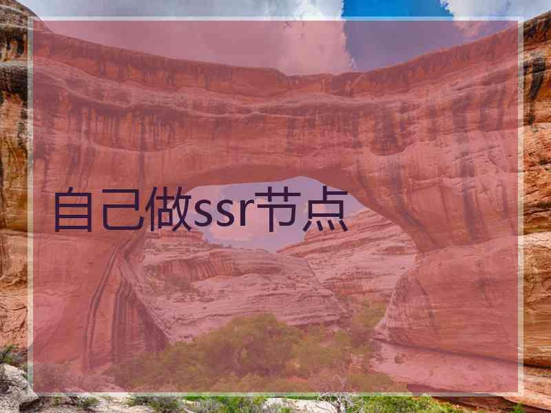 自己做ssr节点