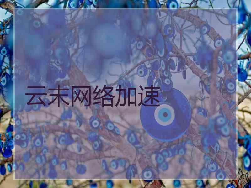 云末网络加速