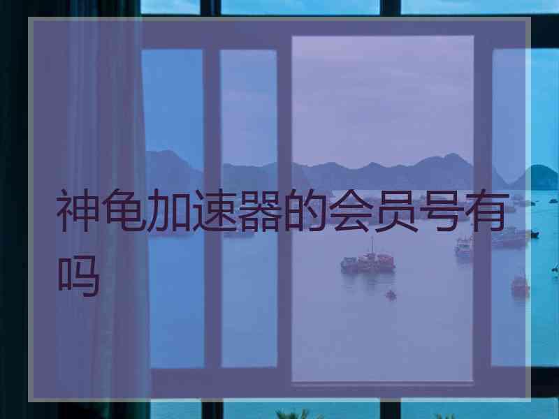 神龟加速器的会员号有吗