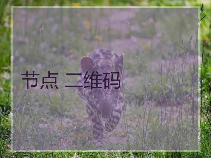 节点 二维码