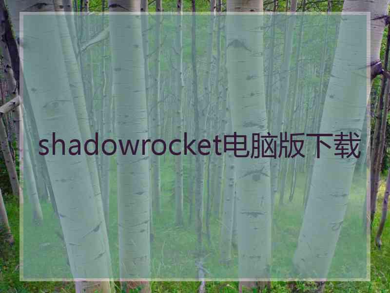shadowrocket电脑版下载