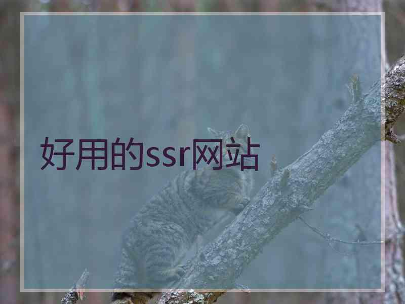 好用的ssr网站
