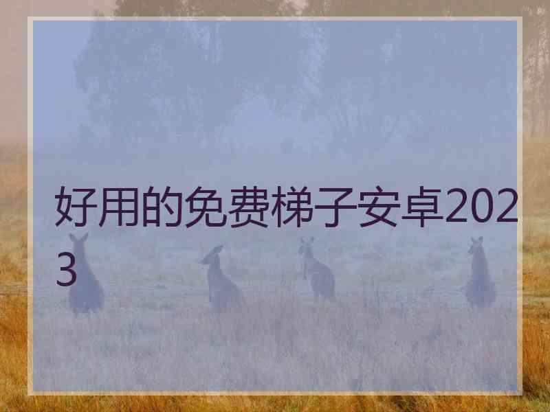 好用的免费梯子安卓2023
